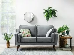 Edessä -Halpa 2-istuttavat sohvat myymälä undef src sa picid 761250 type color image