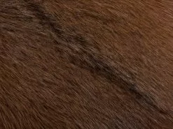 Beliani Baarijakkara Lampaannahka Vaalea Puu WALTON -Halpa 2-istuttavat sohvat myymälä undef src sa picid 773094 type whitesh image