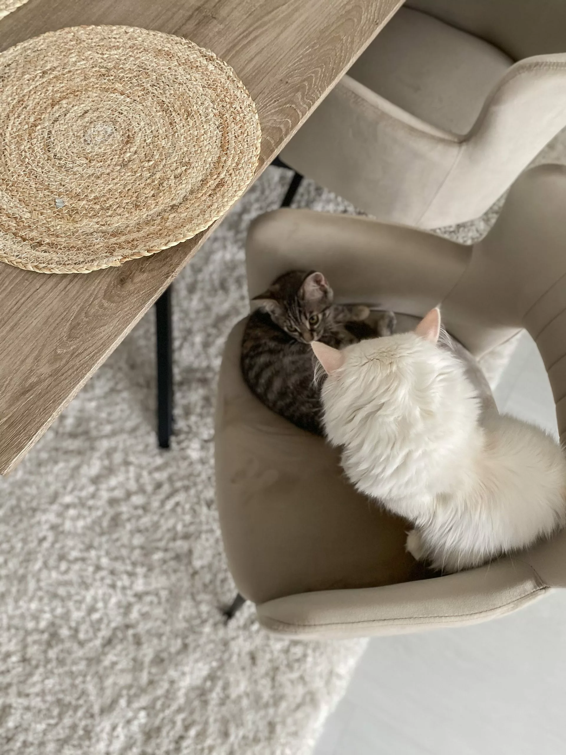 Beliani Ruokapöytä Vaalea Puu/musta 140 X 80 Cm SPECTRA - Image 5