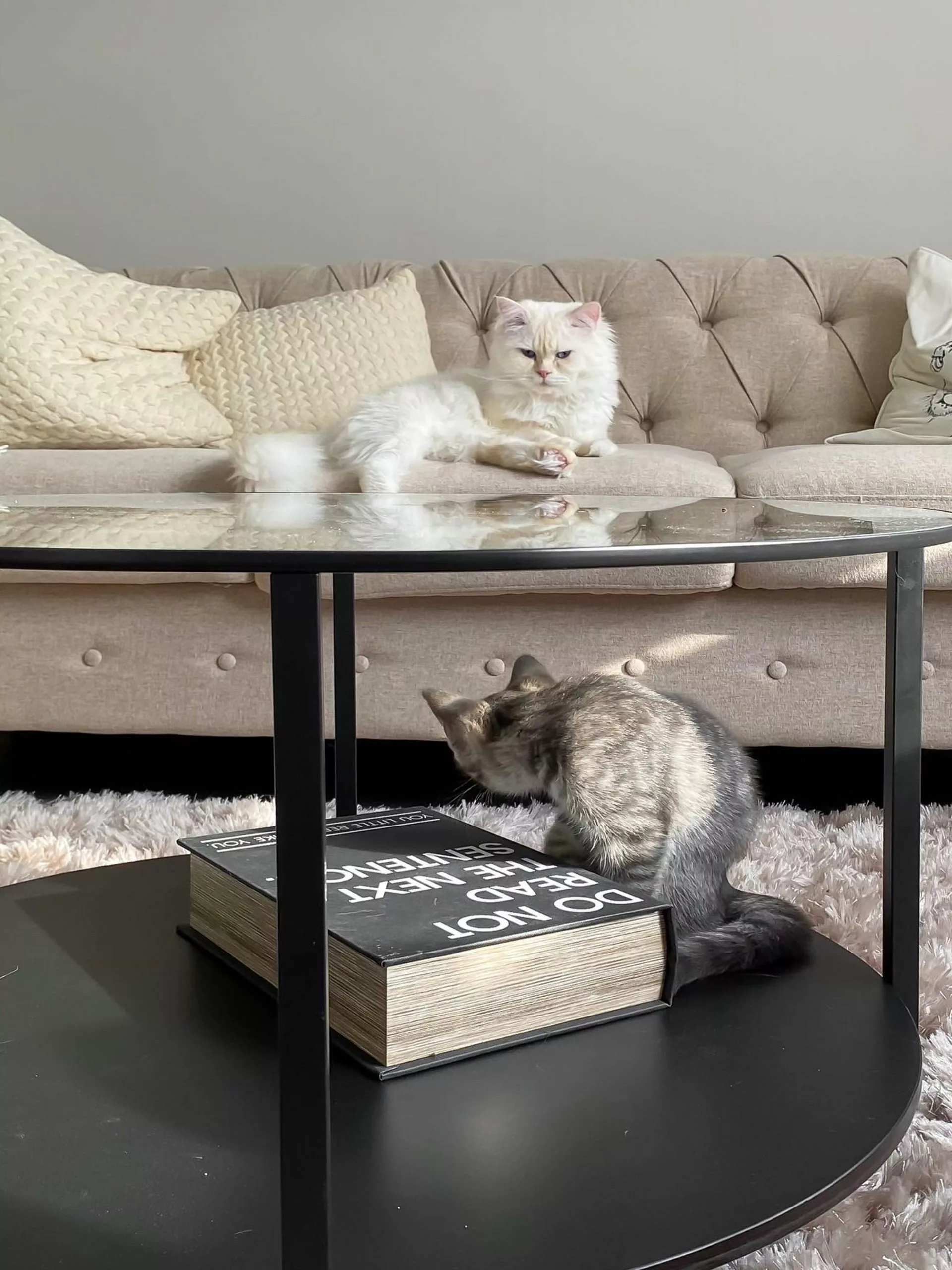 Beliani Beige 3-istuttava Kangassohva CHESTERFIELD - Image 5