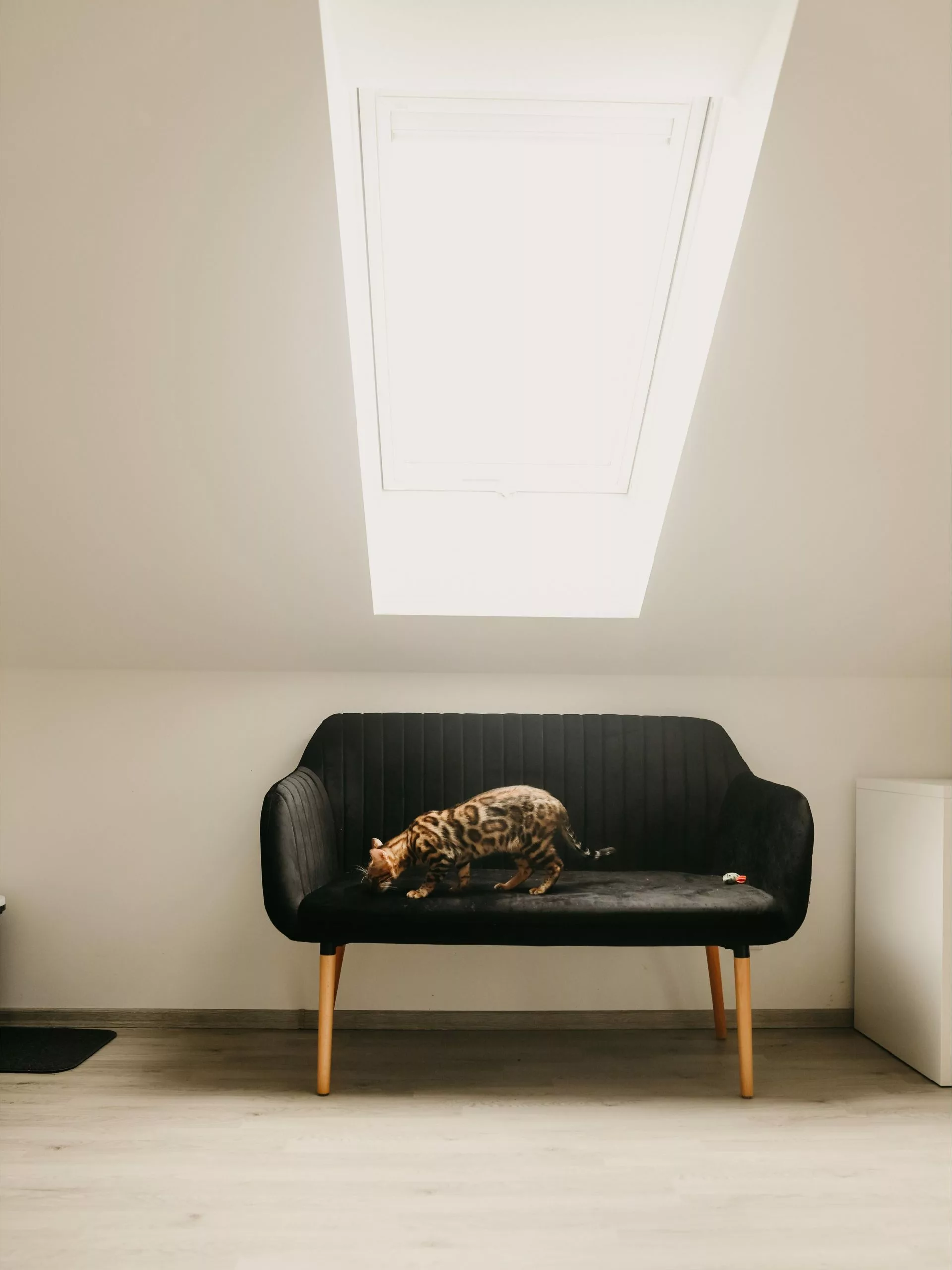 Beliani 2-istuttava Sohva Samettinen Musta TABY 5 Beliani 2-istuttava Sohva Samettinen Musta TABY - Image 3